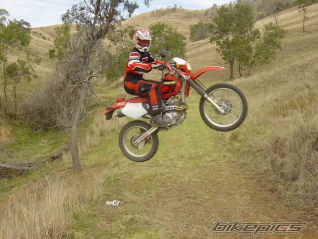 2003 HONDA XR 250 | Picture 66555 motorcycle photo
