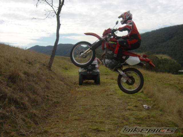 2003 HONDA XR 250 | Picture 66556 motorcycle photo