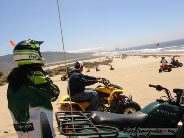 2005 YAMAHA KODIAK | Picture 665612 motorcycle photo
