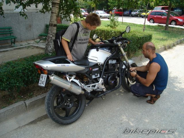 1988 HONDA CB 450 | Picture 665768 motorcycle photo