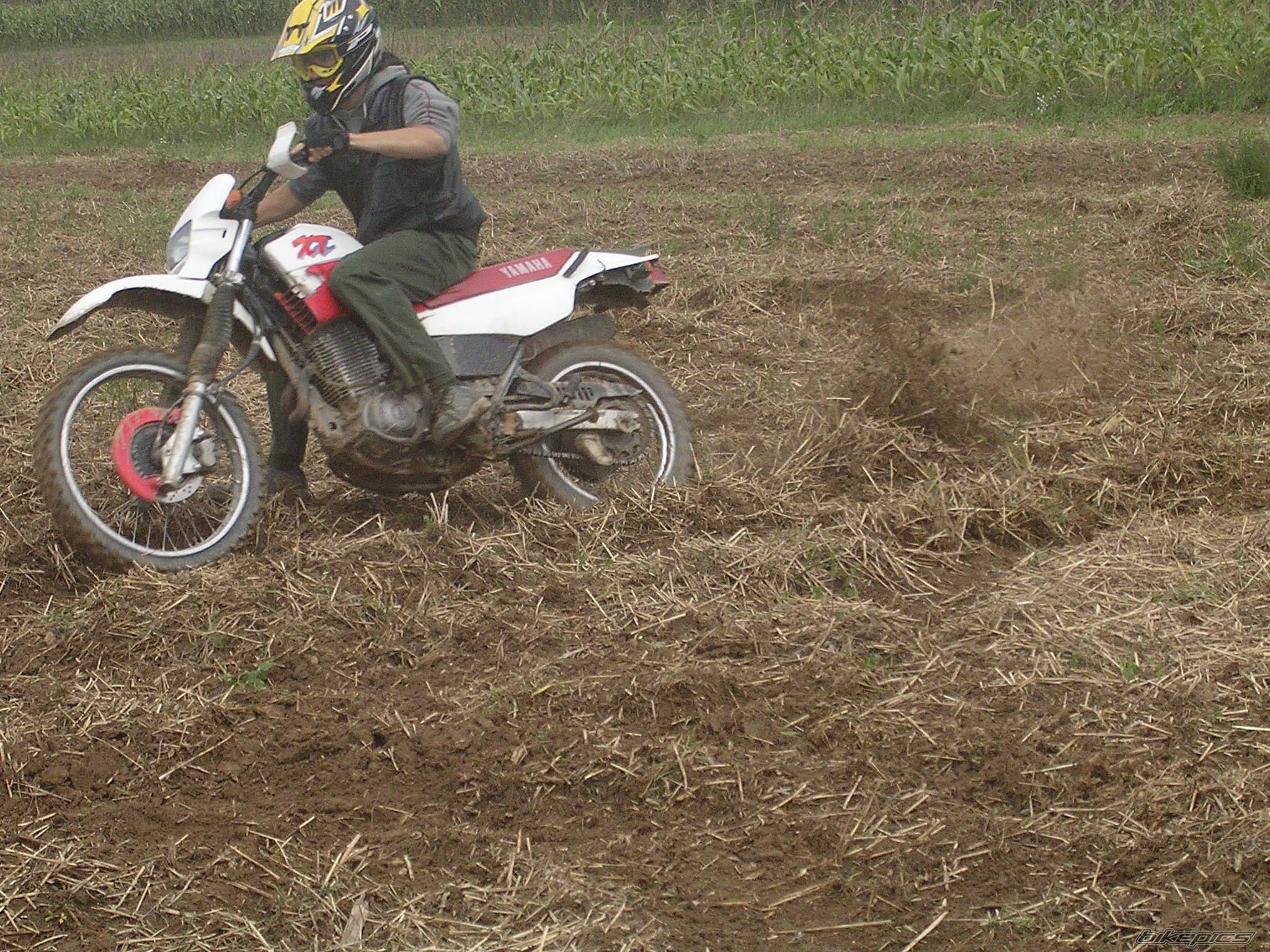 1990 YAMAHA XT 600 | Picture 666067 motorcycle photo