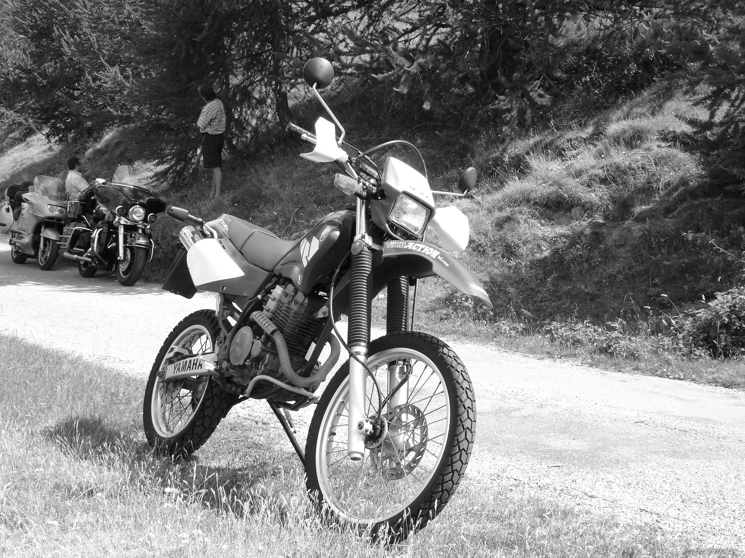 2005 YAMAHA TTR 250 | Picture 666126 motorcycle photo