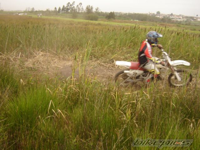 1991 YAMAHA YZ 250 | Picture 666159 motorcycle photo