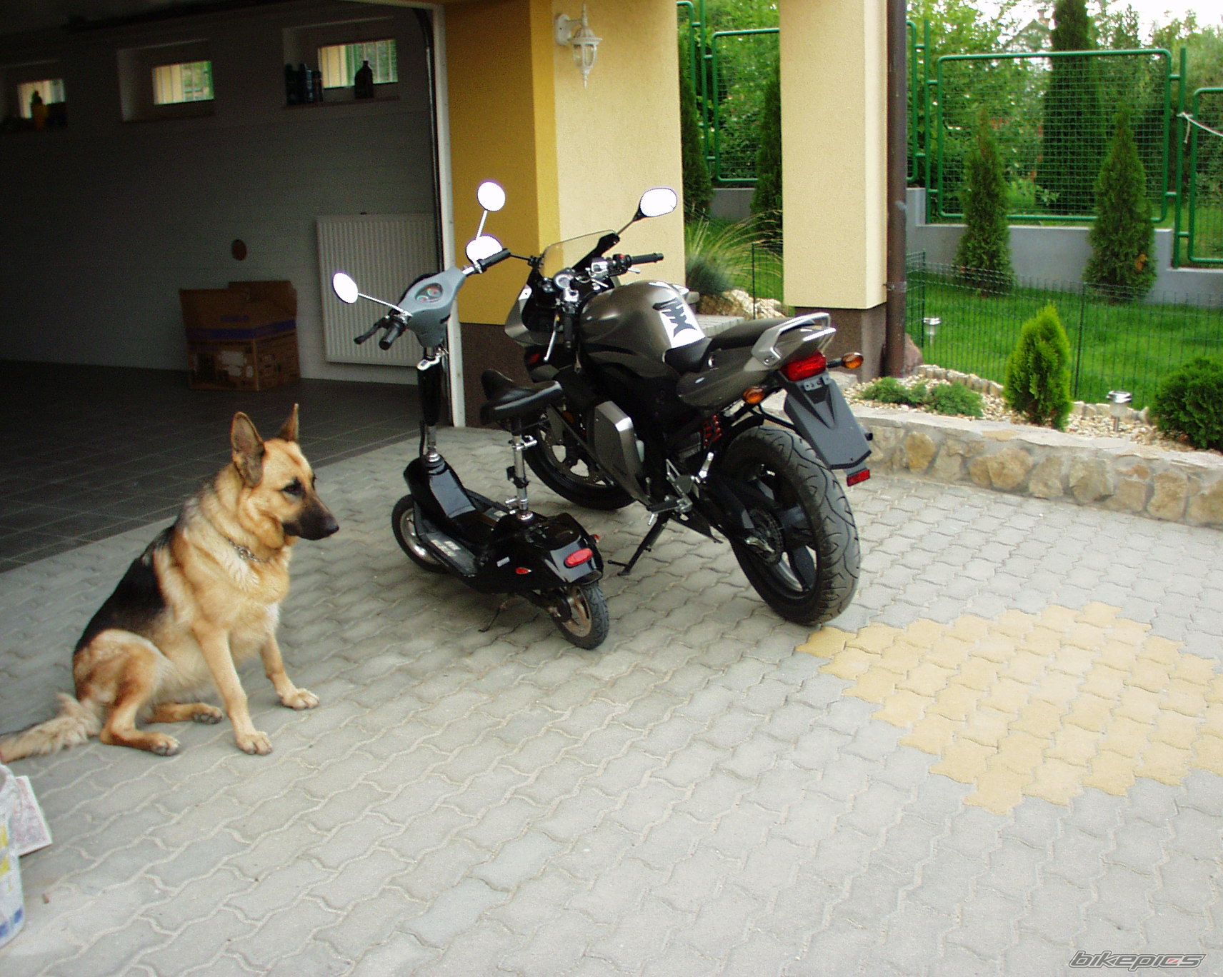 2004 YAMAHA TZR 50 | Picture 666884 motorcycle photo