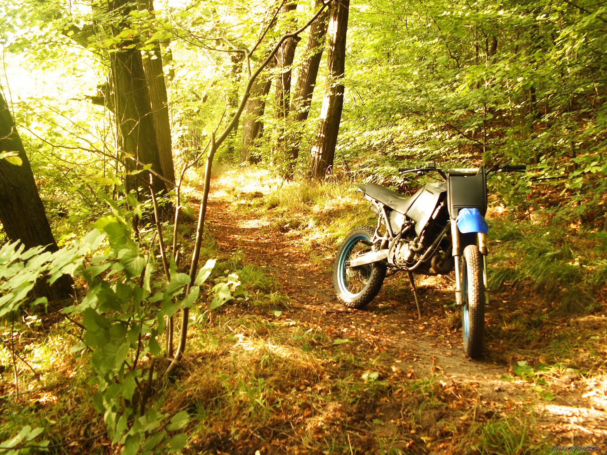 1999 DERBI SENDA L 50 | Picture 667135 motorcycle photo
