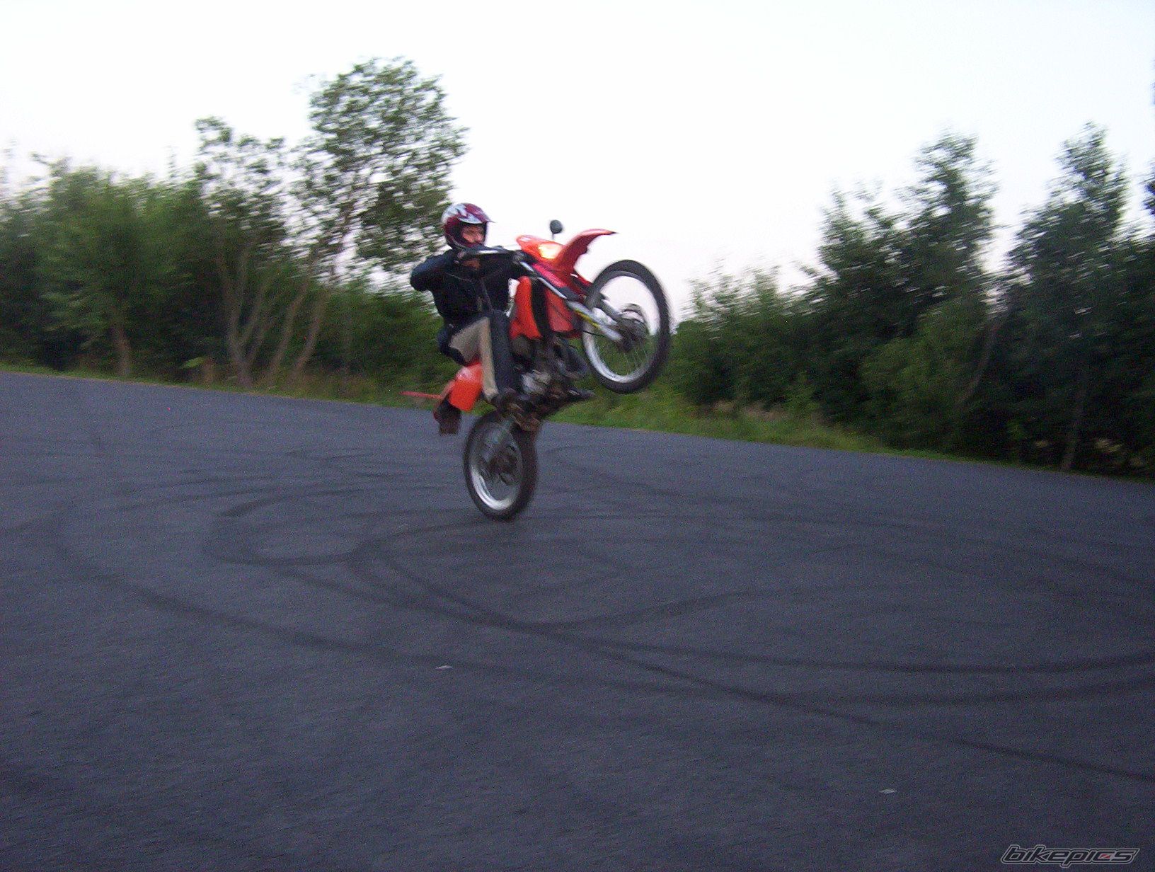 1998 BETA RR 50 | Picture 667524 motorcycle photo
