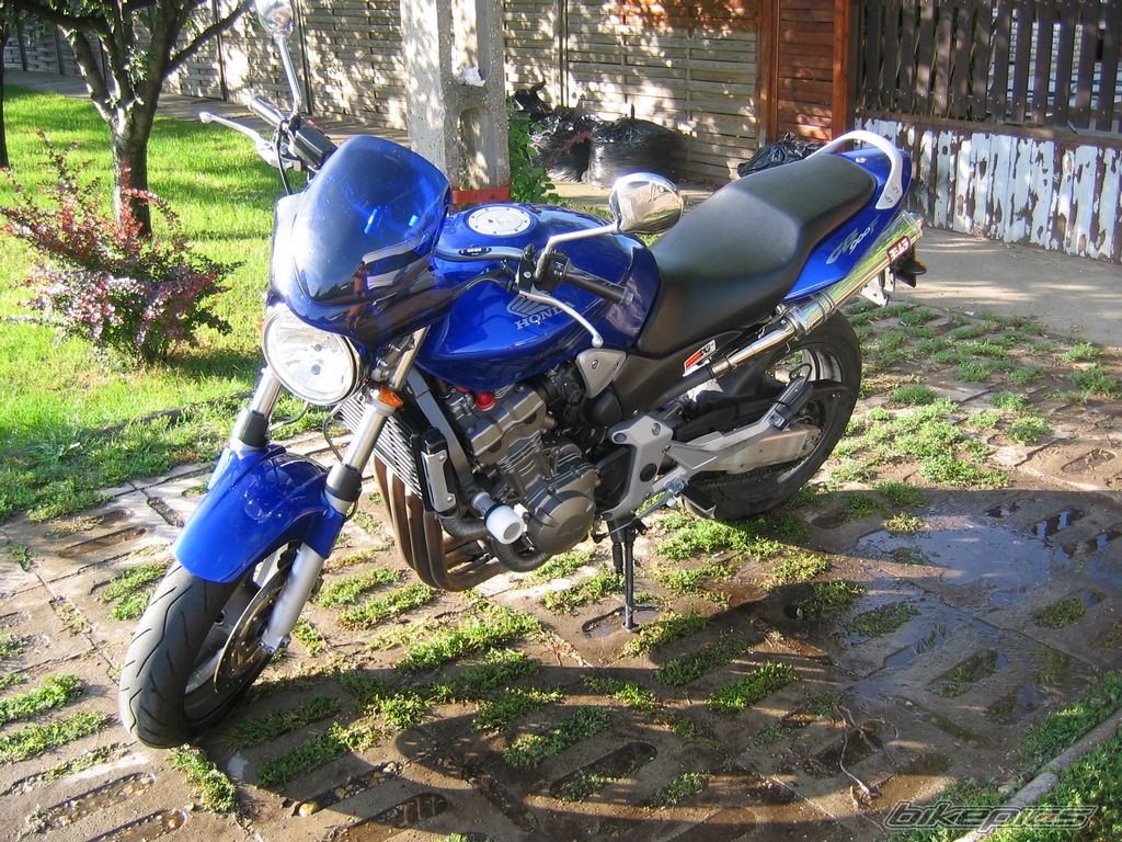 2002 HONDA CB 900 | Picture 668049 motorcycle photo
