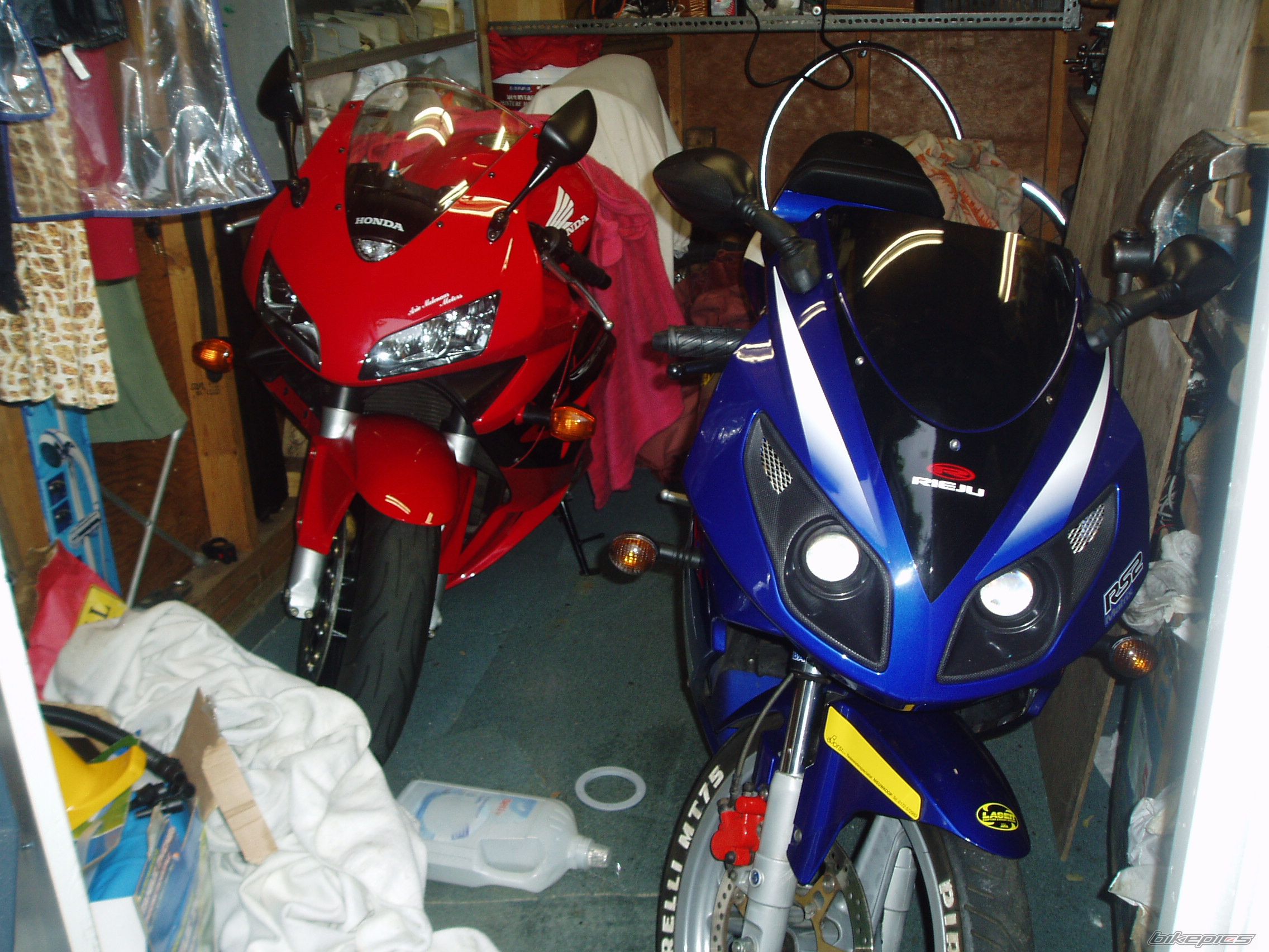 2003 HONDA CBR 600 | Picture 668464 motorcycle photo