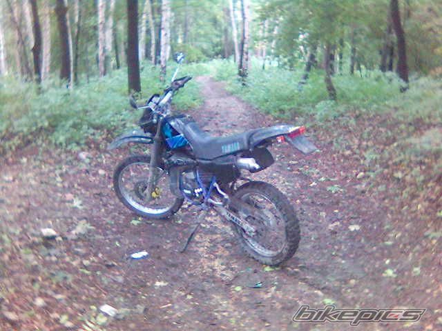 1994 YAMAHA DT 80 | Picture 669309 motorcycle photo