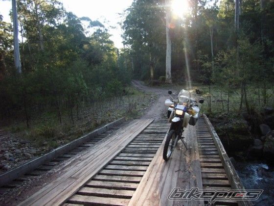 2005 YAMAHA TTR 250 | Picture 671872 motorcycle photo