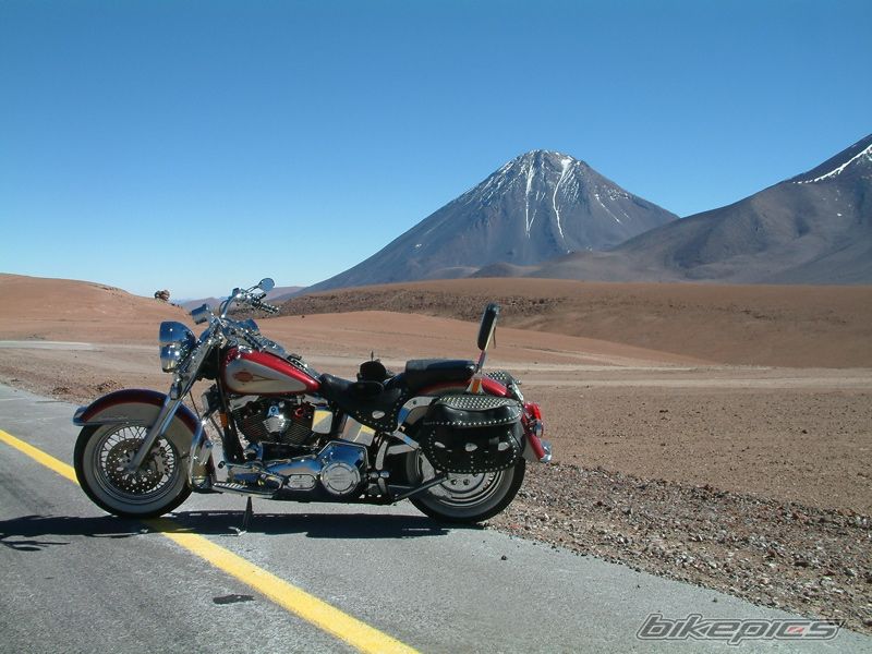1997 HARLEY DAVIDSON FLSTC | Picture 672276 motorcycle photo