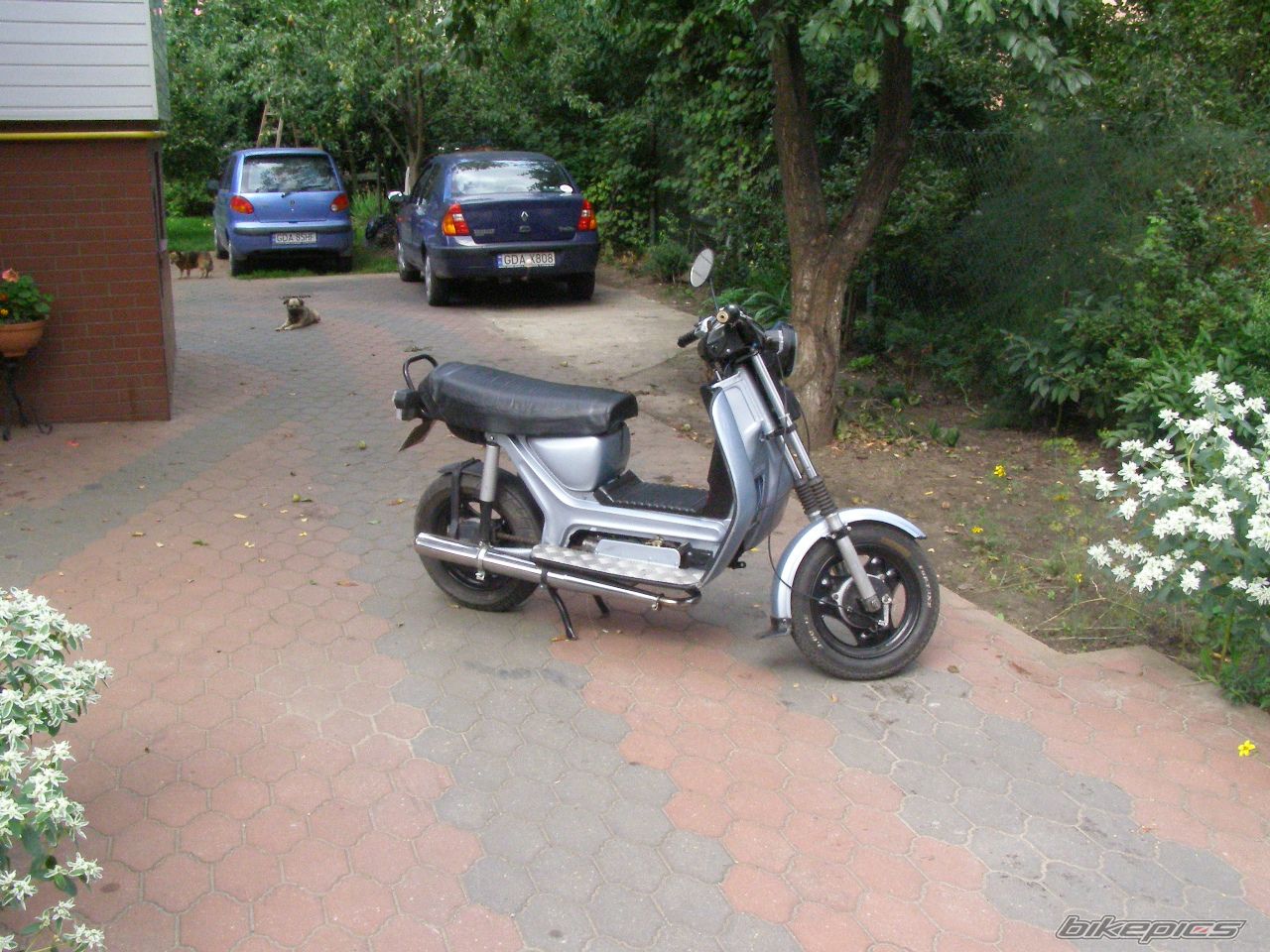 1990 SIMSON SR 50 | Picture 672296 motorcycle photo