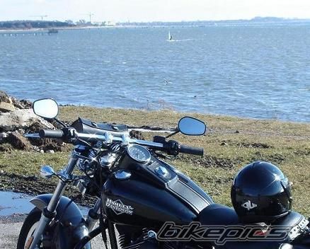 2004 HARLEY DAVIDSON FXSTB | Picture 672437 motorcycle photo