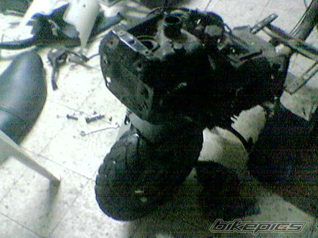 1996 PIAGGIO TYPHOON 50 | Picture 672482 motorcycle photo