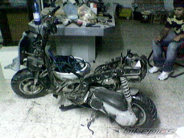 1996 PIAGGIO TYPHOON 50 | Picture 672484 motorcycle photo