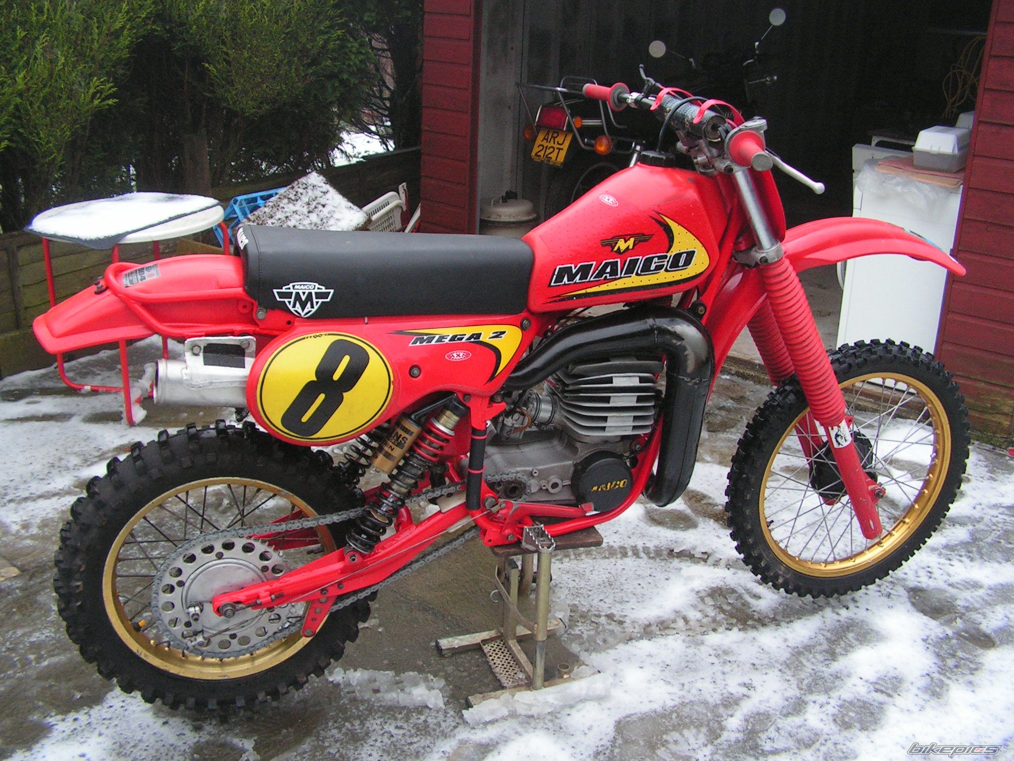 1981 MAICO ONLY ALPHA 1 | Picture 672660 motorcycle photo