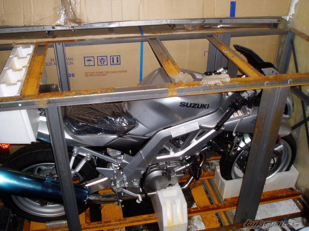 2003 SUZUKI SV 650S | Picture 67323 motorcycle photo