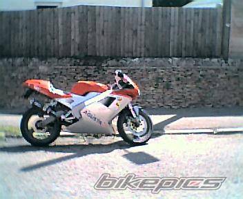 1995 CAGIVA MITO 125 | Picture 67333 motorcycle photo