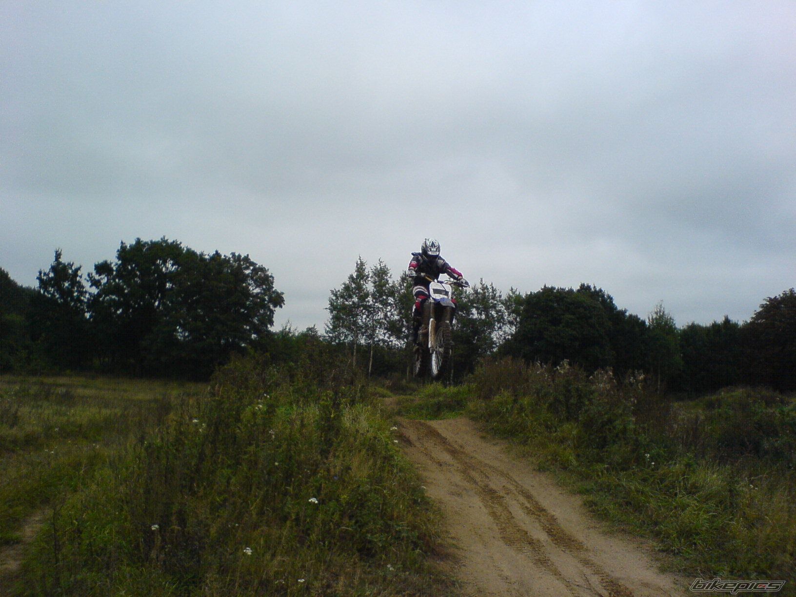 2002 YAMAHA YZ 426F | Picture 673405 motorcycle photo