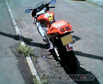 1995 CAGIVA MITO 125 | Picture 67343 motorcycle photo