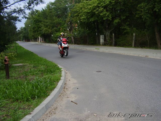 1996 APRILIA SR RACING 50 | Picture 674682 motorcycle photo
