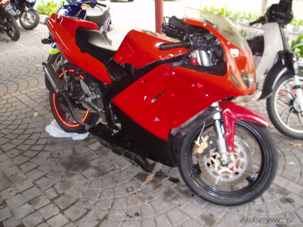 2006 YAMAHA TZM 150 | Picture 674849 motorcycle photo