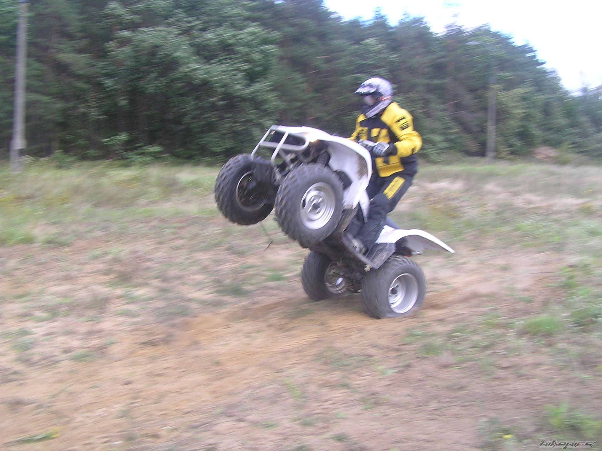 2006 YAMAHA WOLVERINE | Picture 675975 motorcycle photo