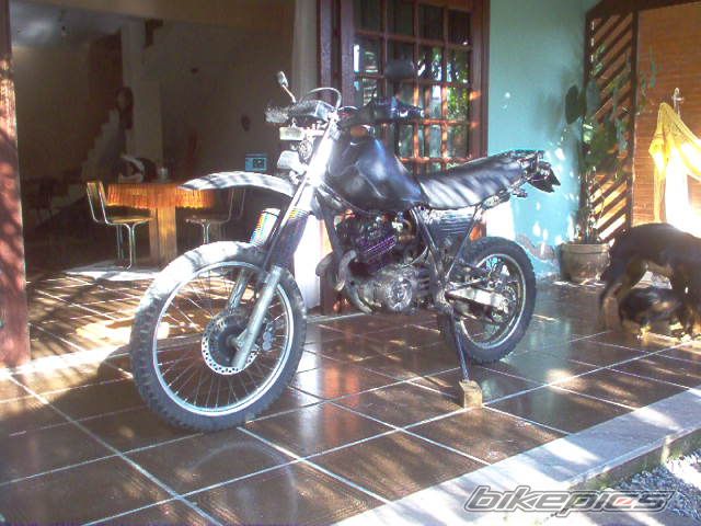 1990 HONDA XLX 250 | Picture 676049 motorcycle photo