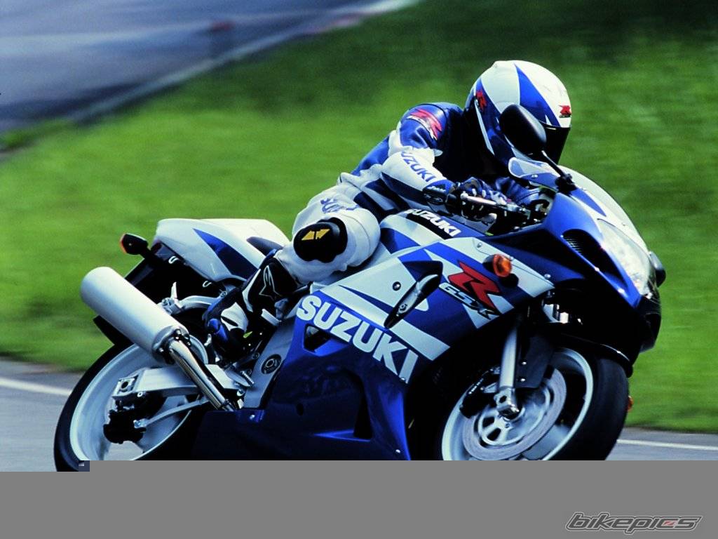 2004 SUZUKI GSX R 600 | Picture 67611 motorcycle photo