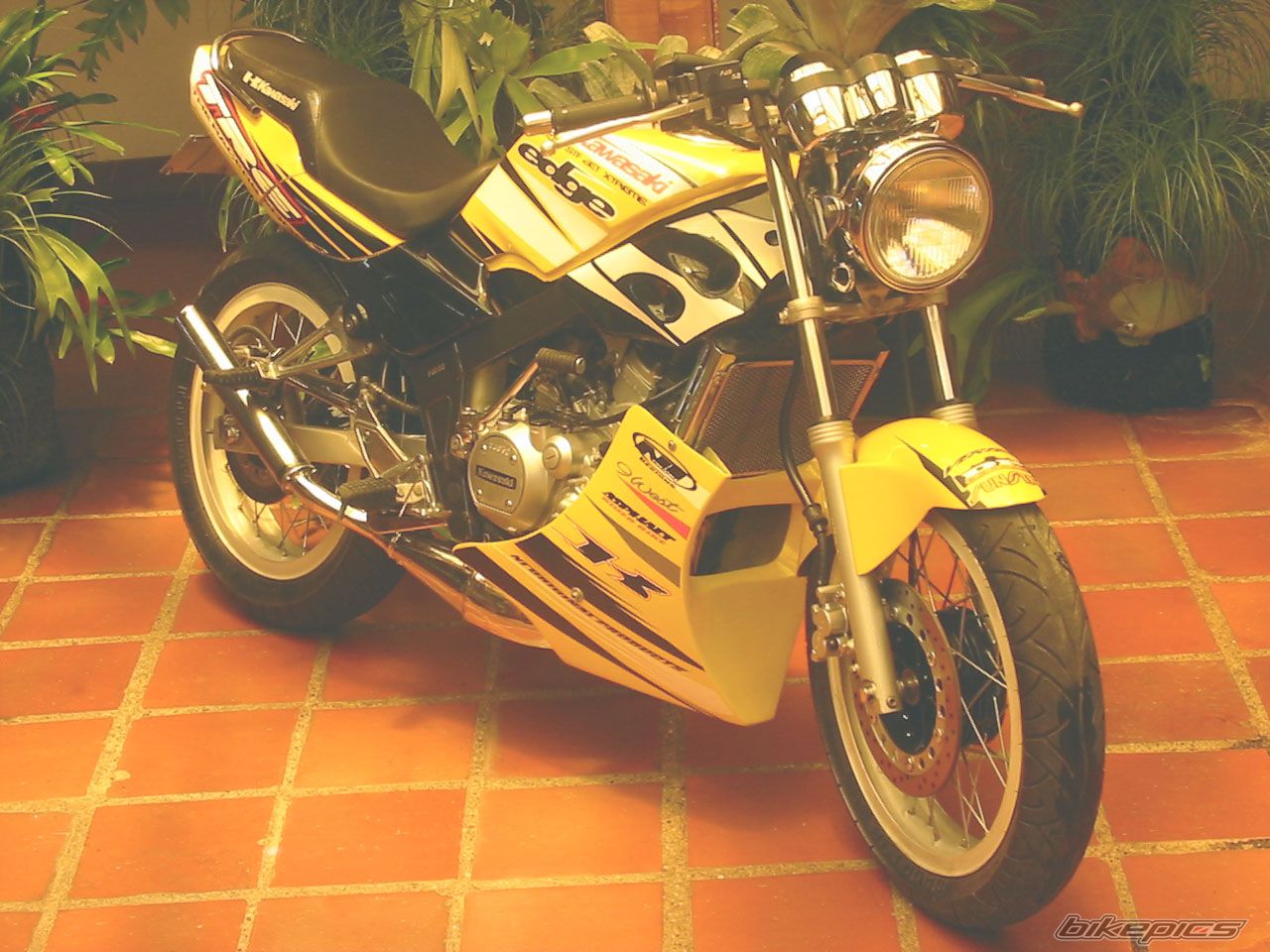 2000 KAWASAKI KR 150 | Picture 676748 motorcycle photo