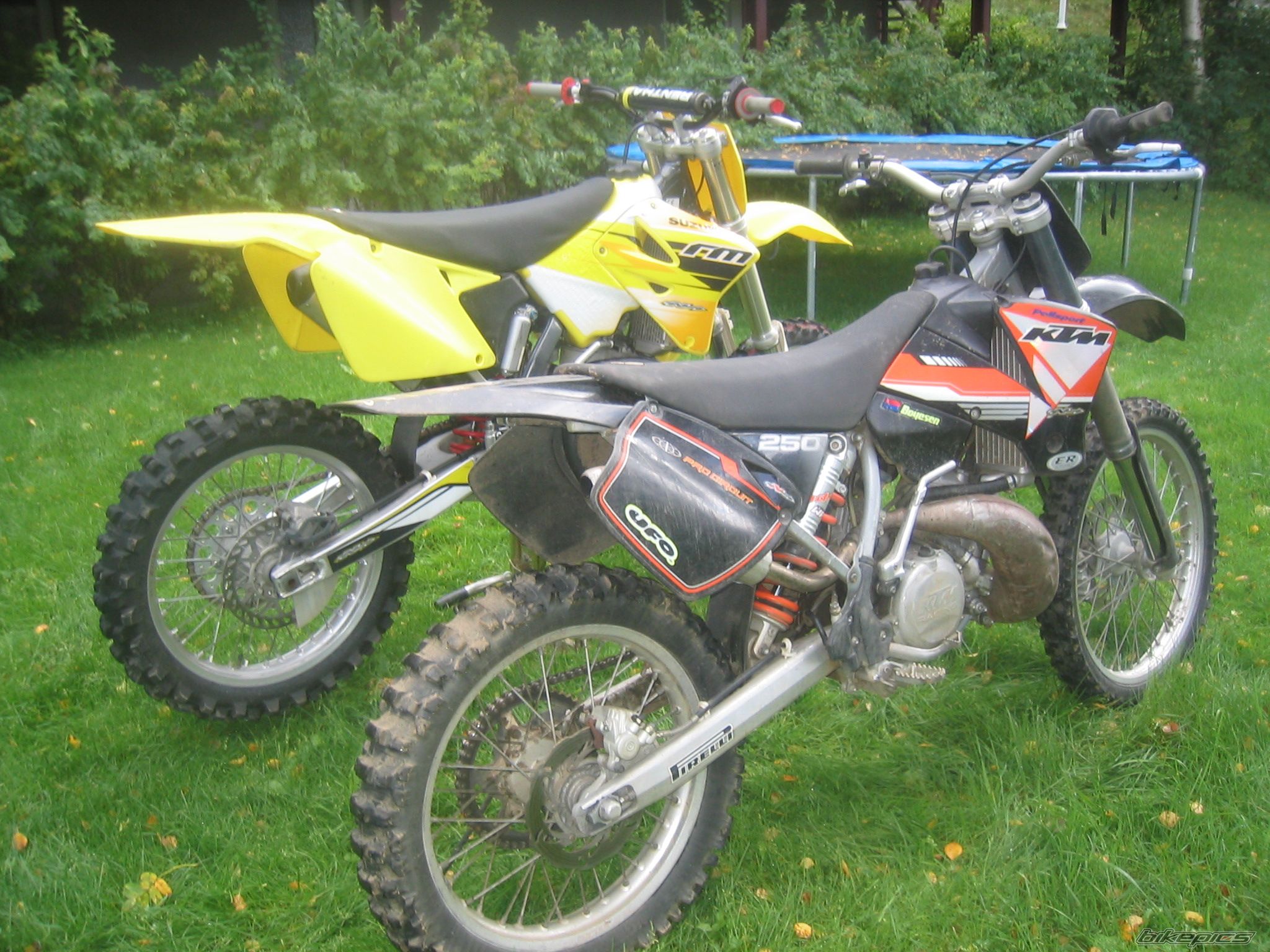 2002 SUZUKI RM 250 | Picture 677363 motorcycle photo