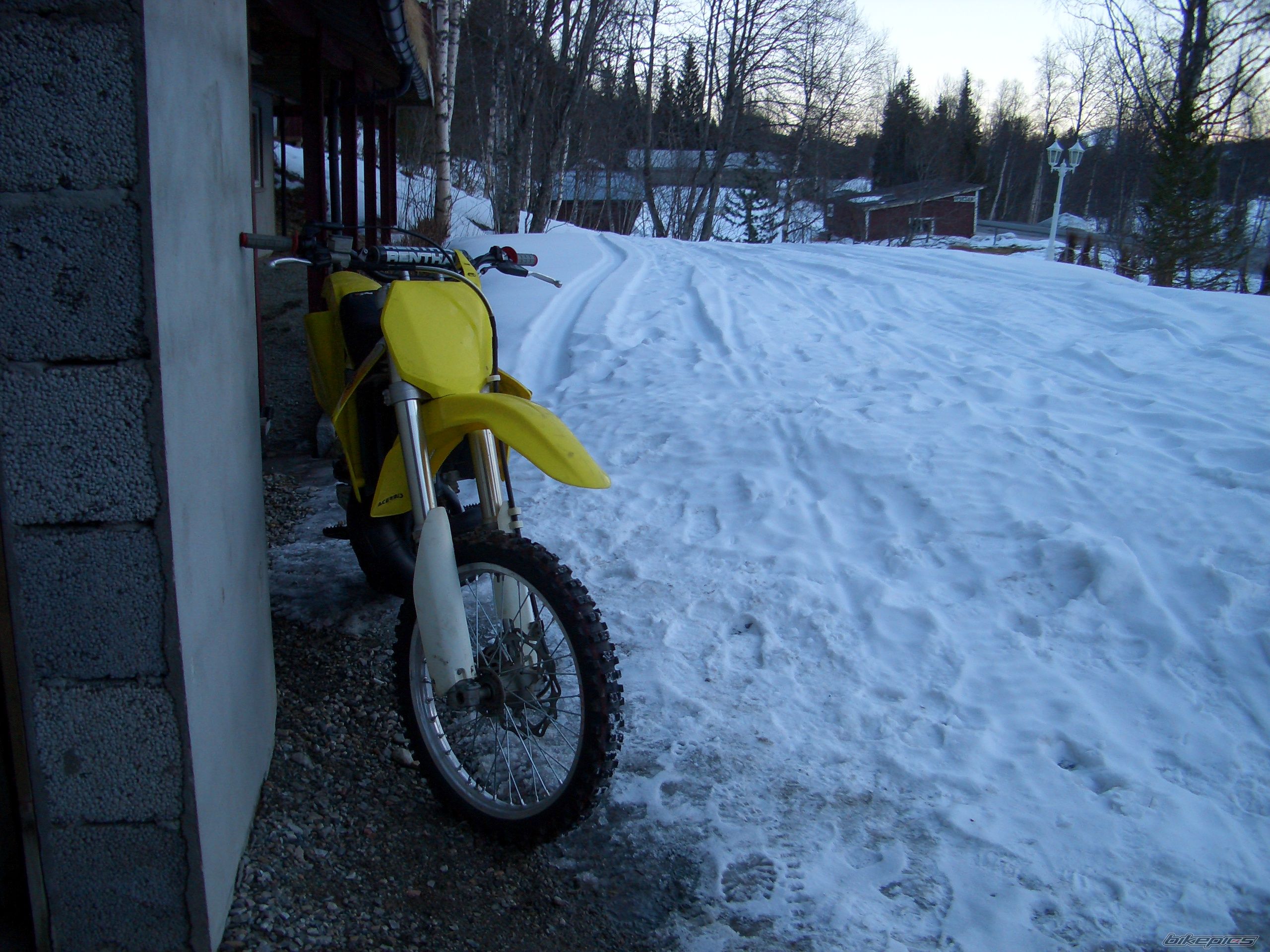 2002 SUZUKI RM 250 | Picture 677371 motorcycle photo