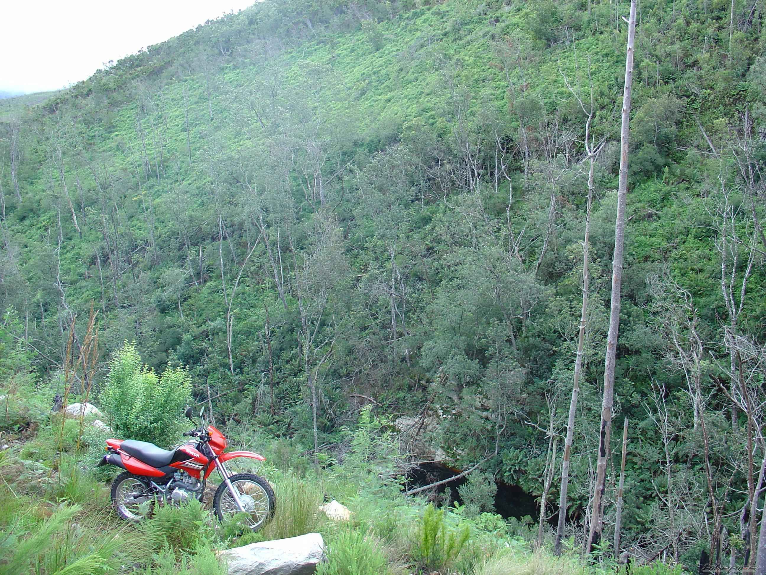 2005 HONDA NXR 125 | Picture 677845 motorcycle photo