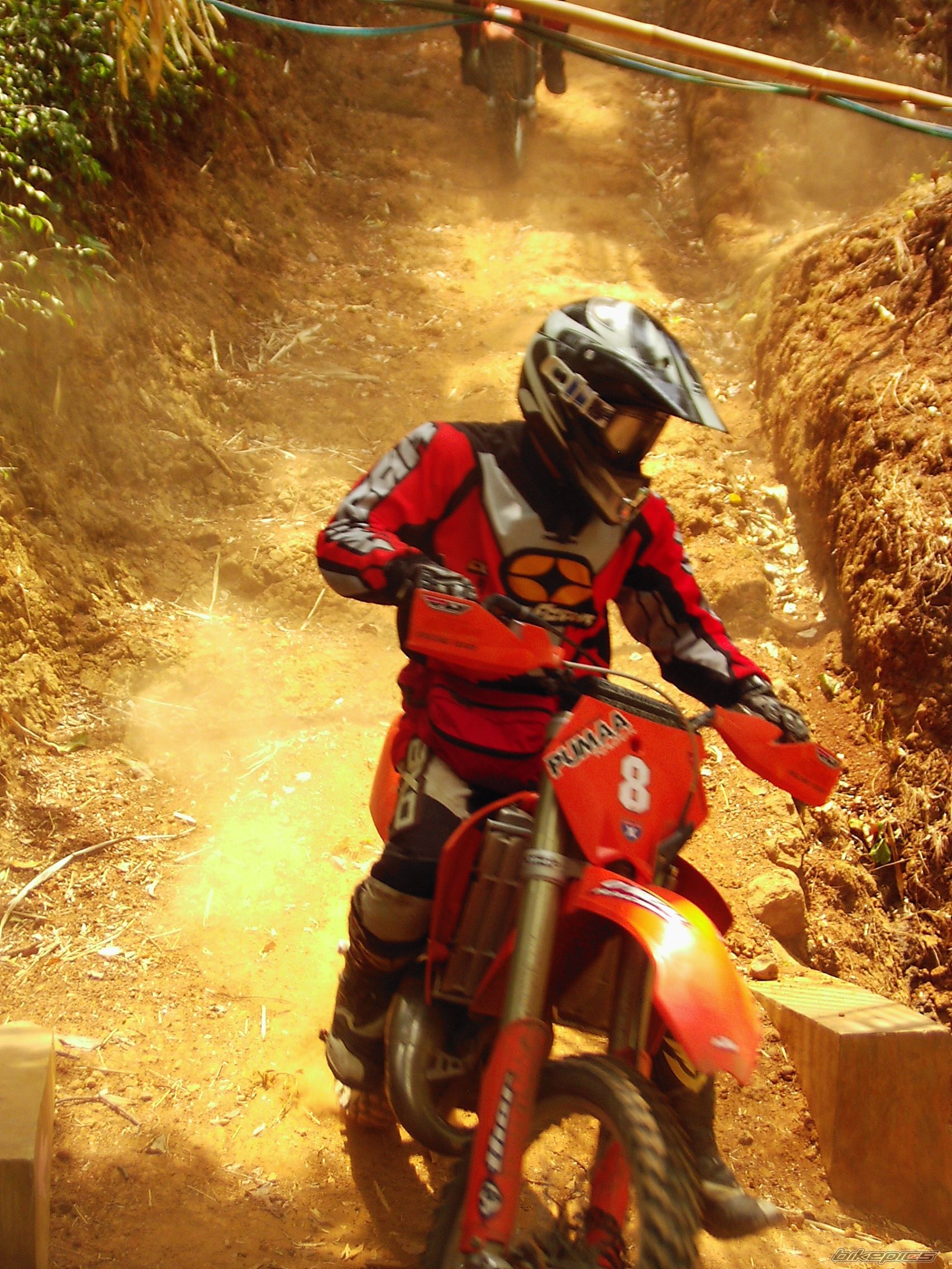 2004 KTM 125 SX | Picture 677882 motorcycle photo