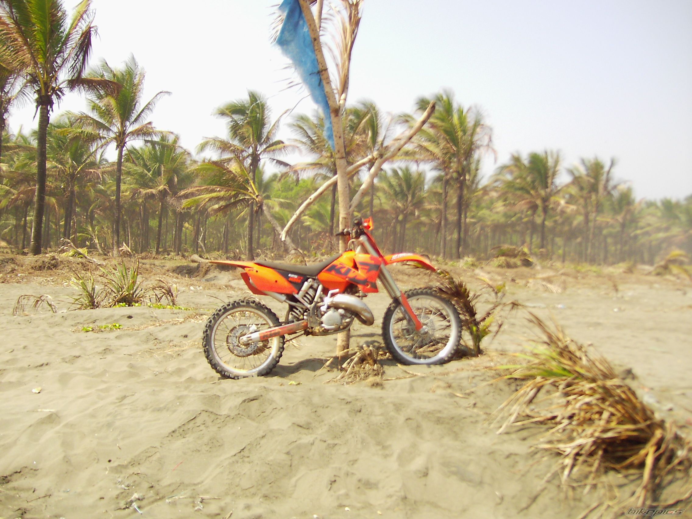 2004 KTM 125 SX | Picture 677890 motorcycle photo