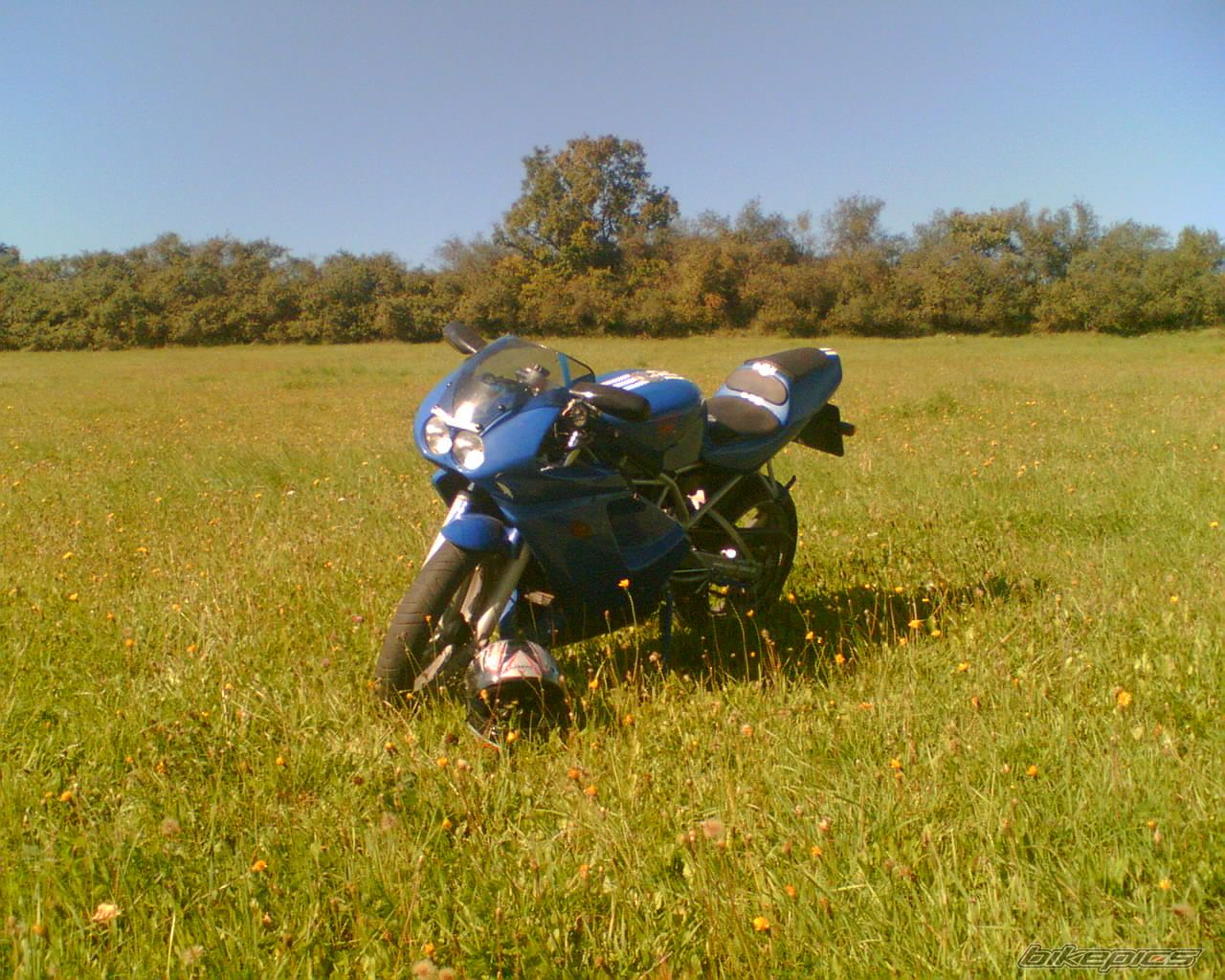 2003 SACHS XTC RACING | Picture 678127 motorcycle photo