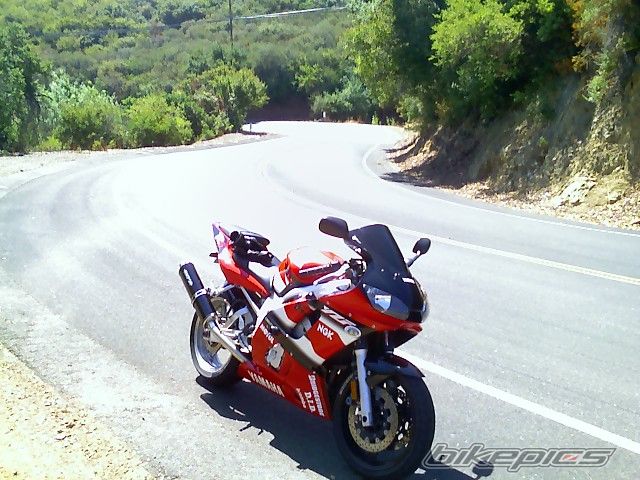 2001 YAMAHA YZF R6 | Picture 678289 motorcycle photo