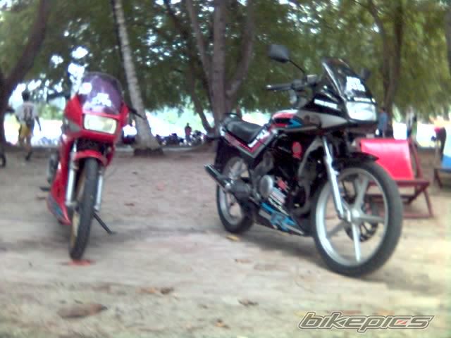 1991 SUZUKI TXR 150 | Picture 679042 motorcycle photo