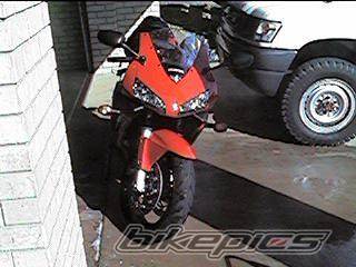 2003 HONDA CBR 600 | Picture 67936 motorcycle photo