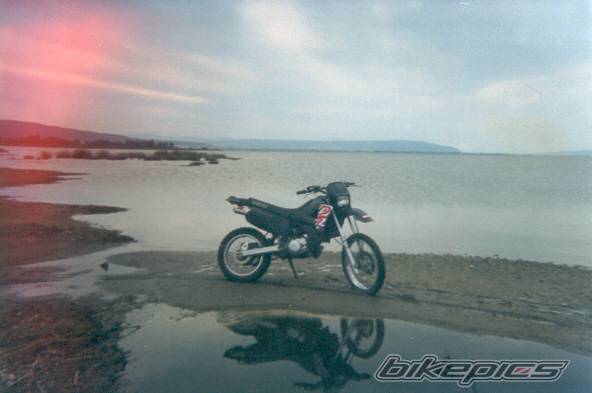 1999 YAMAHA DT 125 | Picture 68054 motorcycle photo
