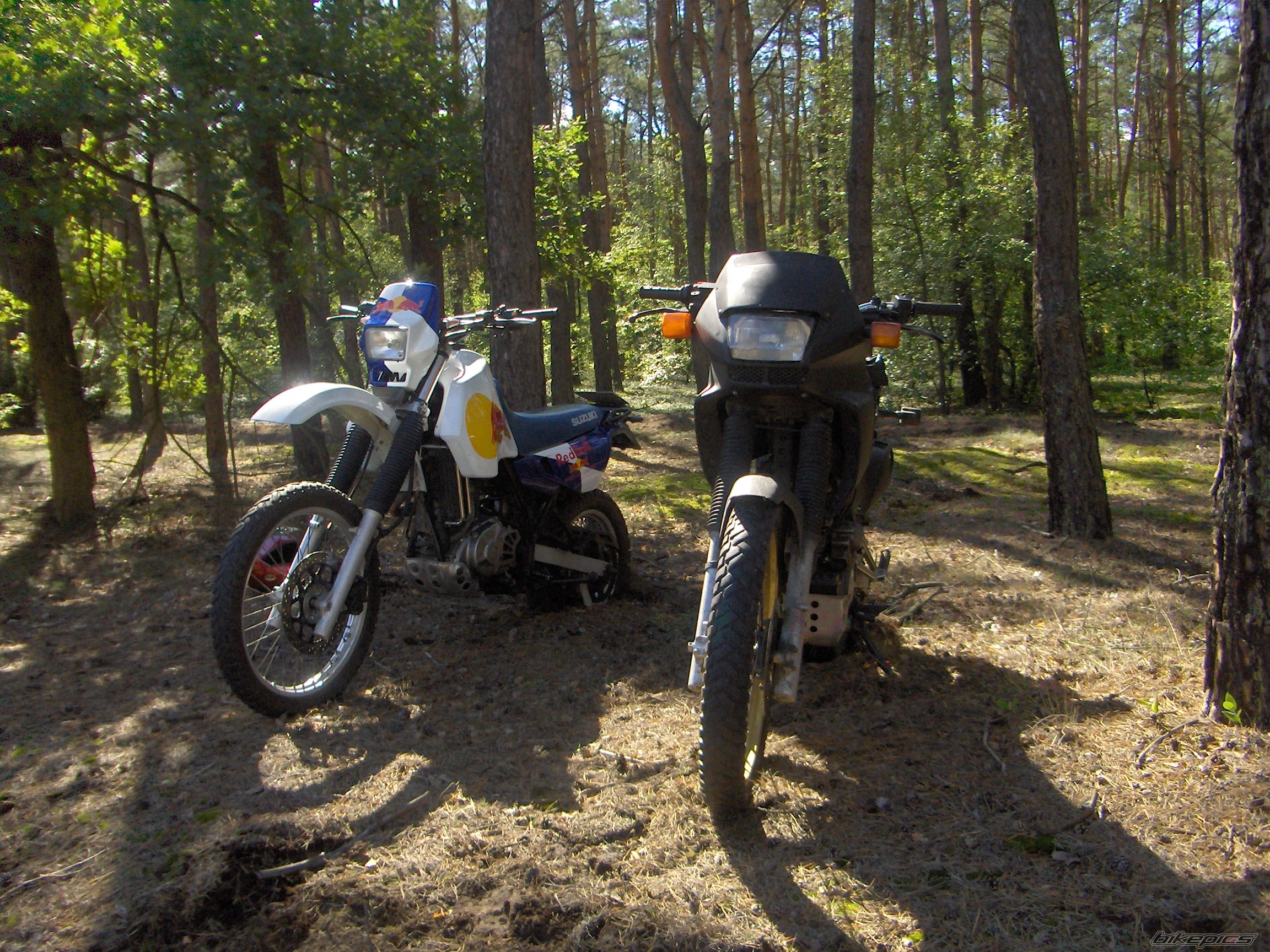 1995 SUZUKI DR 650 | Picture 680830 motorcycle photo