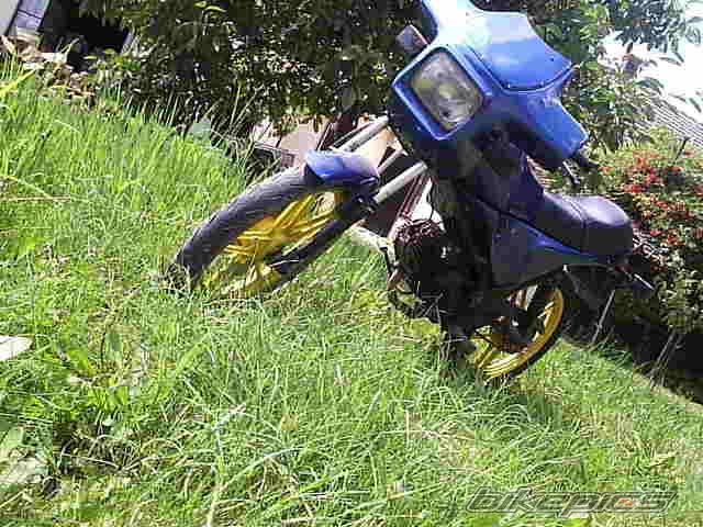 1989 TOMOS BT 50S | Picture 681245 motorcycle photo