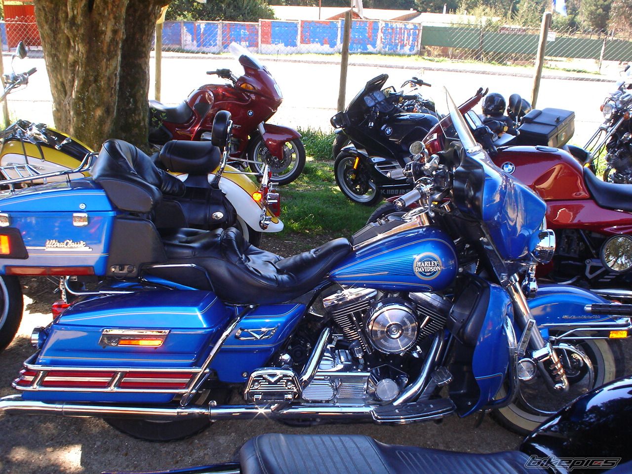 2006 HARLEY DAVIDSON CUSTOM LOW RIDER | Picture 681482 motorcycle photo