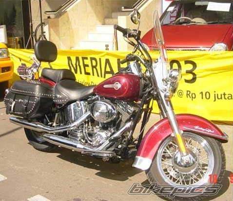 2002 HARLEY DAVIDSON FLSTC | Picture 68159 motorcycle photo