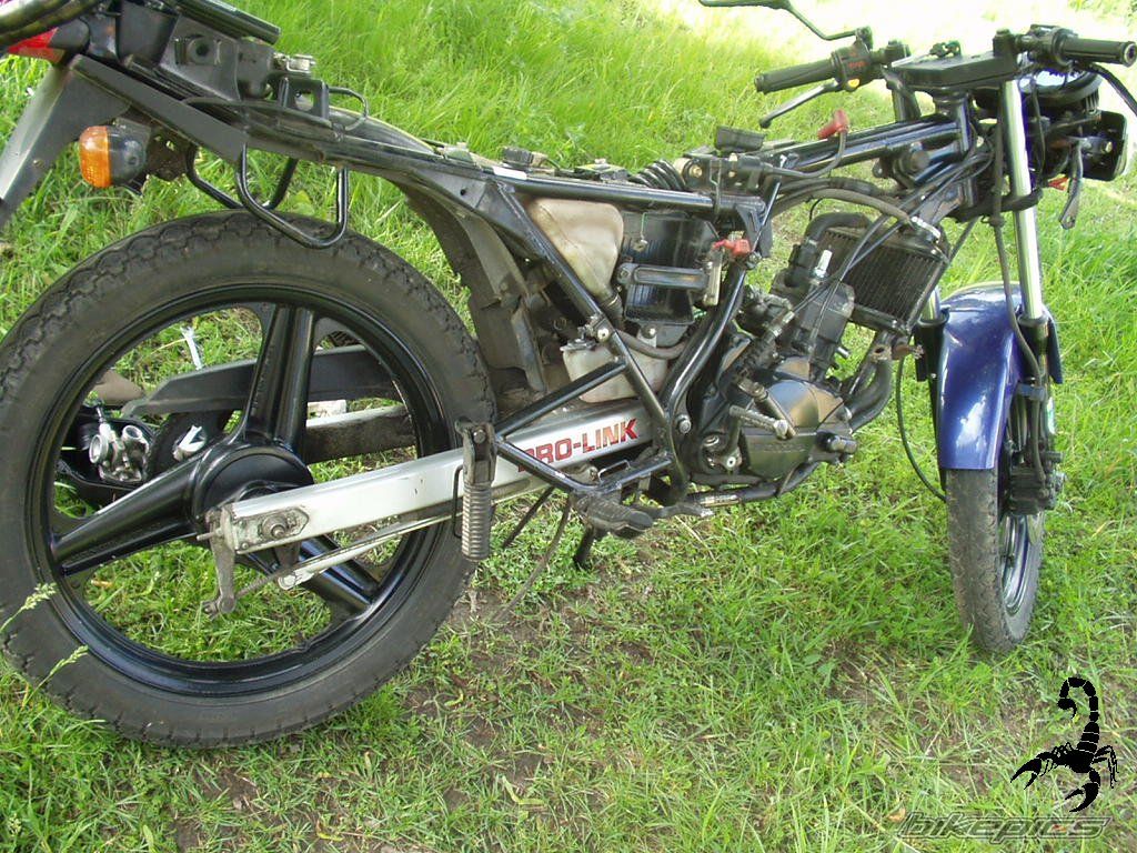 1989 HONDA NSR 50 | Picture 681865 motorcycle photo