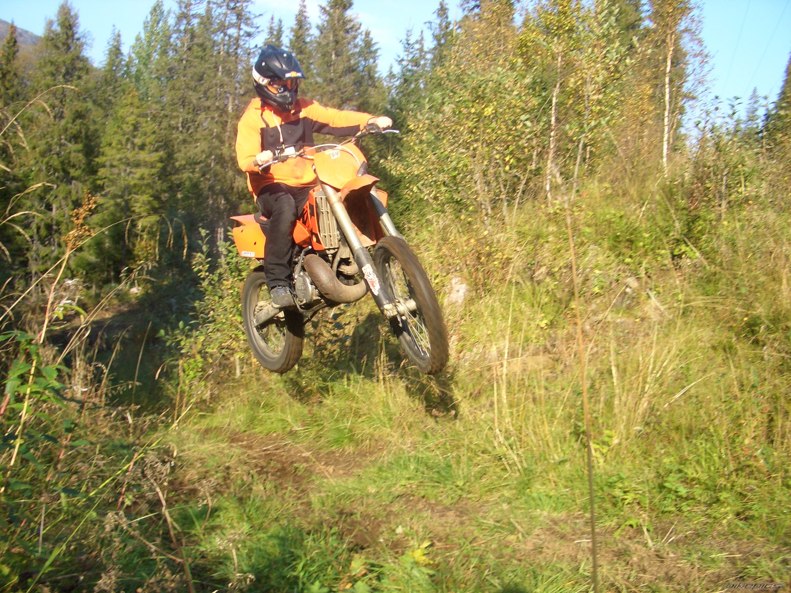 2003 KTM 250 SX | Picture 682123 motorcycle photo
