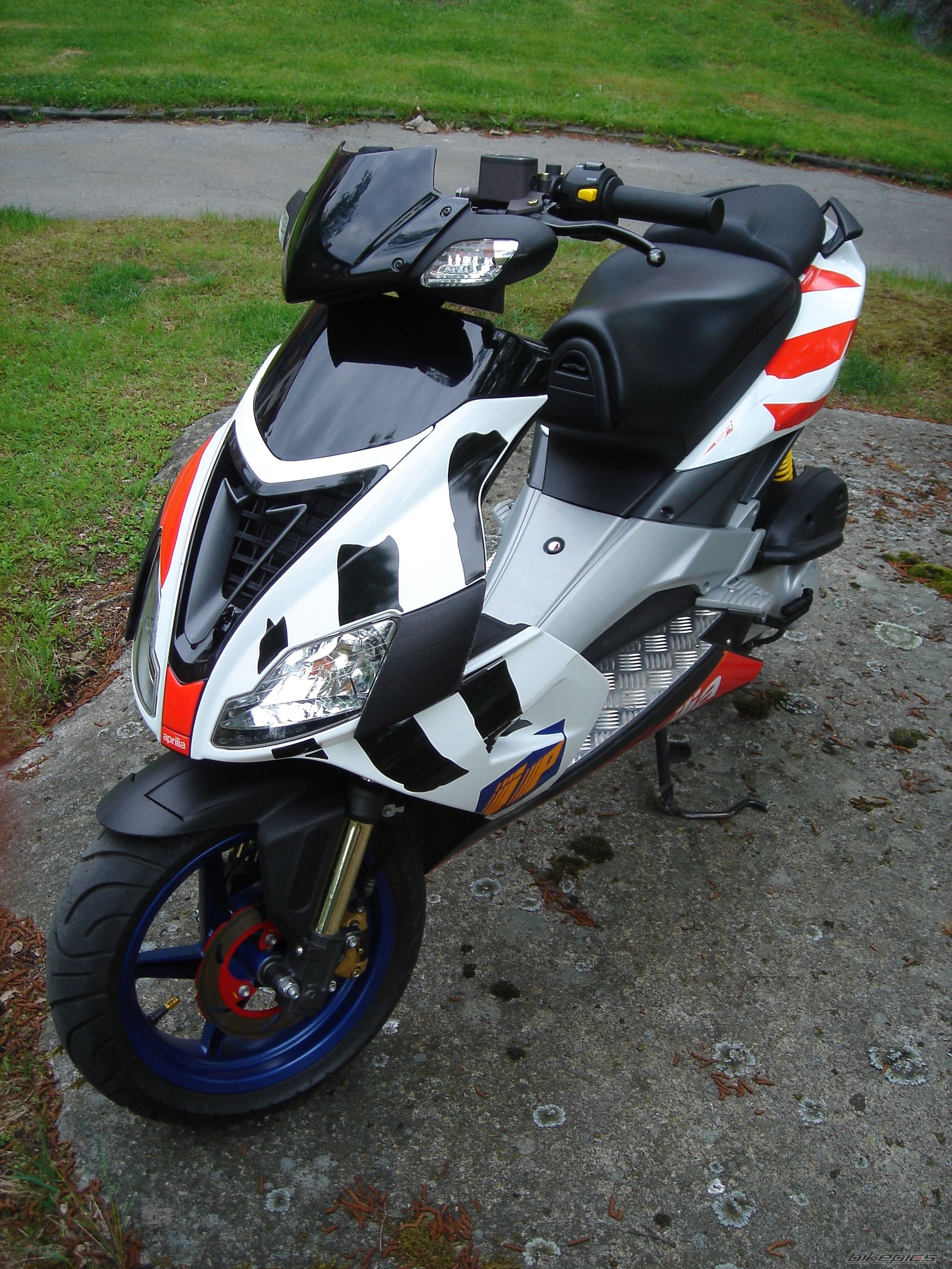    | Picture 682135 motorcycle photo