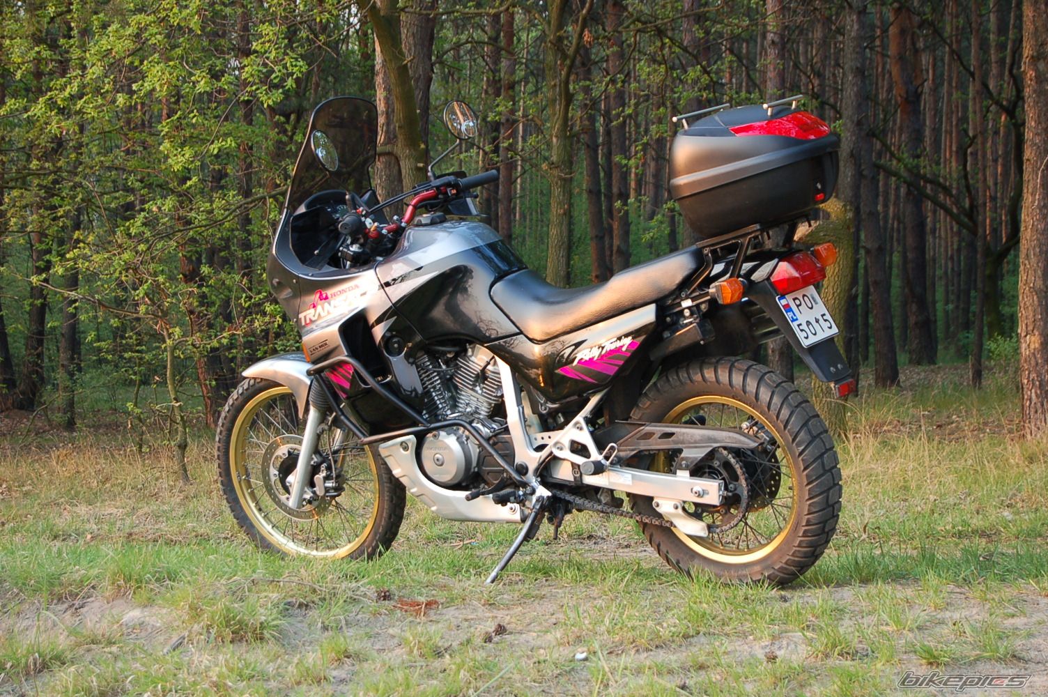 1995 HONDA XL 600V TRANSALP | Picture 682453 motorcycle photo