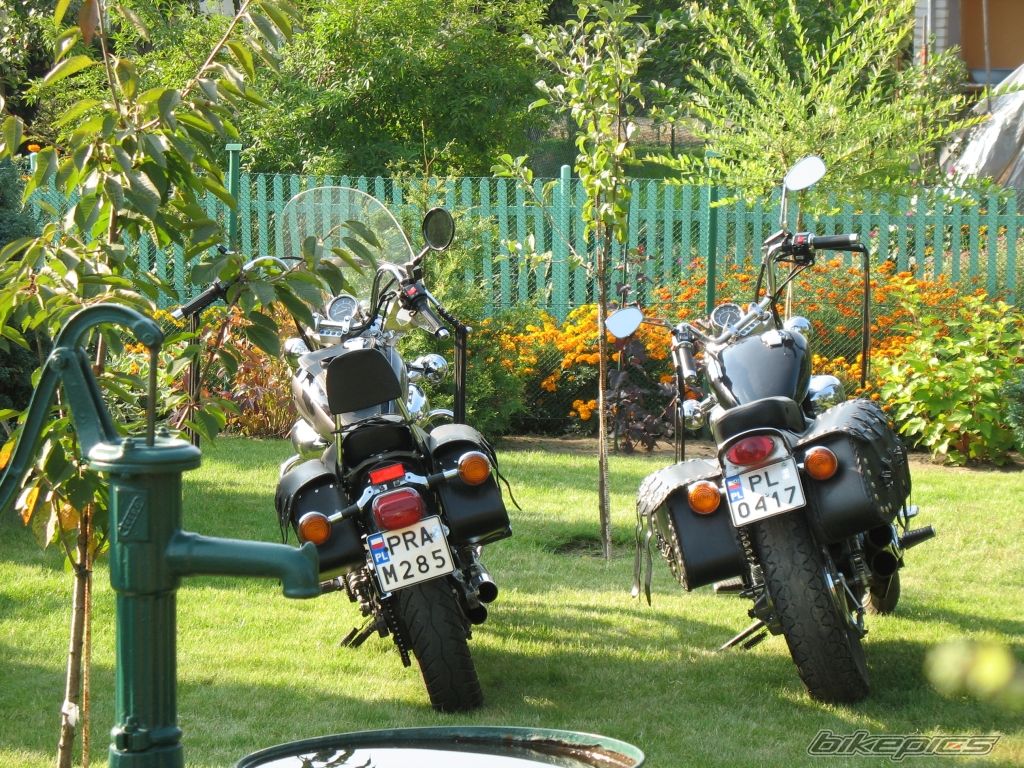1999 YAMAHA VIRAGO 250 | Picture 682754 motorcycle photo