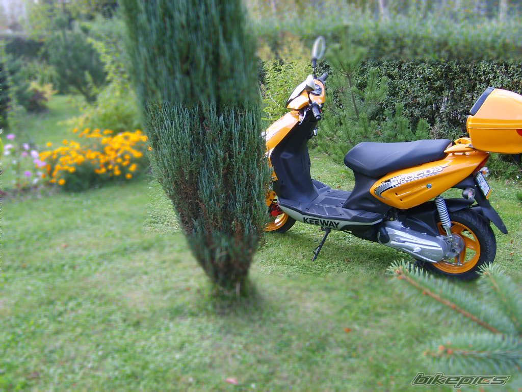 2006 KEEWAY FOCUS 50 | Picture 682835 motorcycle photo